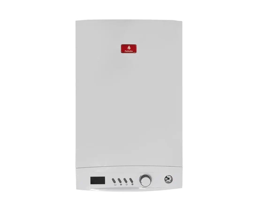 Отопительный котел Felicita DE-H 24KW с дымоходом — фото 1