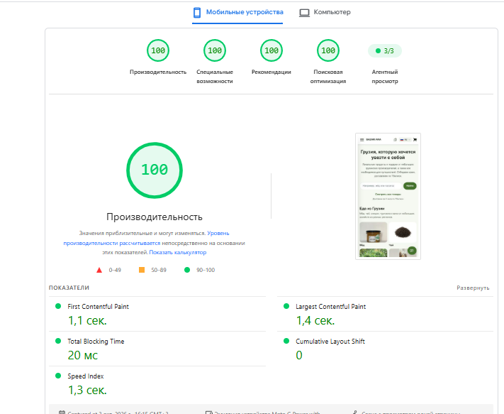 Итог: 100 из 100