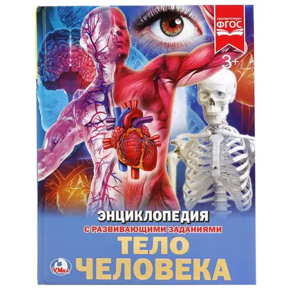 Энциклопедия «Тело человека» с развивающими заданиями, А4, твёрдый переплёт, 48 стр., Умка