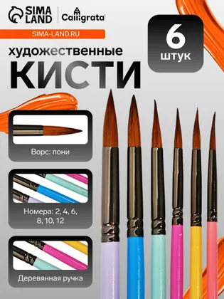 Кисти для рисования, пони, 6 штук: № 2, 4, 6, 8, 10, 12, круглые, с цветными ручками, пастель, международный размер