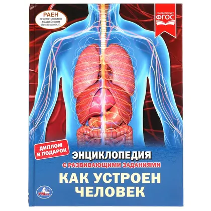 Энциклопедия «Как устроен человек» с развивающими заданиями, 48 стр., Умка