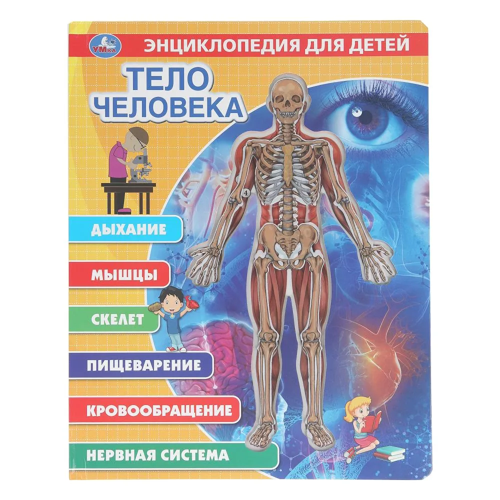 Книга-энциклопедия «Тело человека» с прозрачными вставками, 10 стр., 23×30 см, Умка