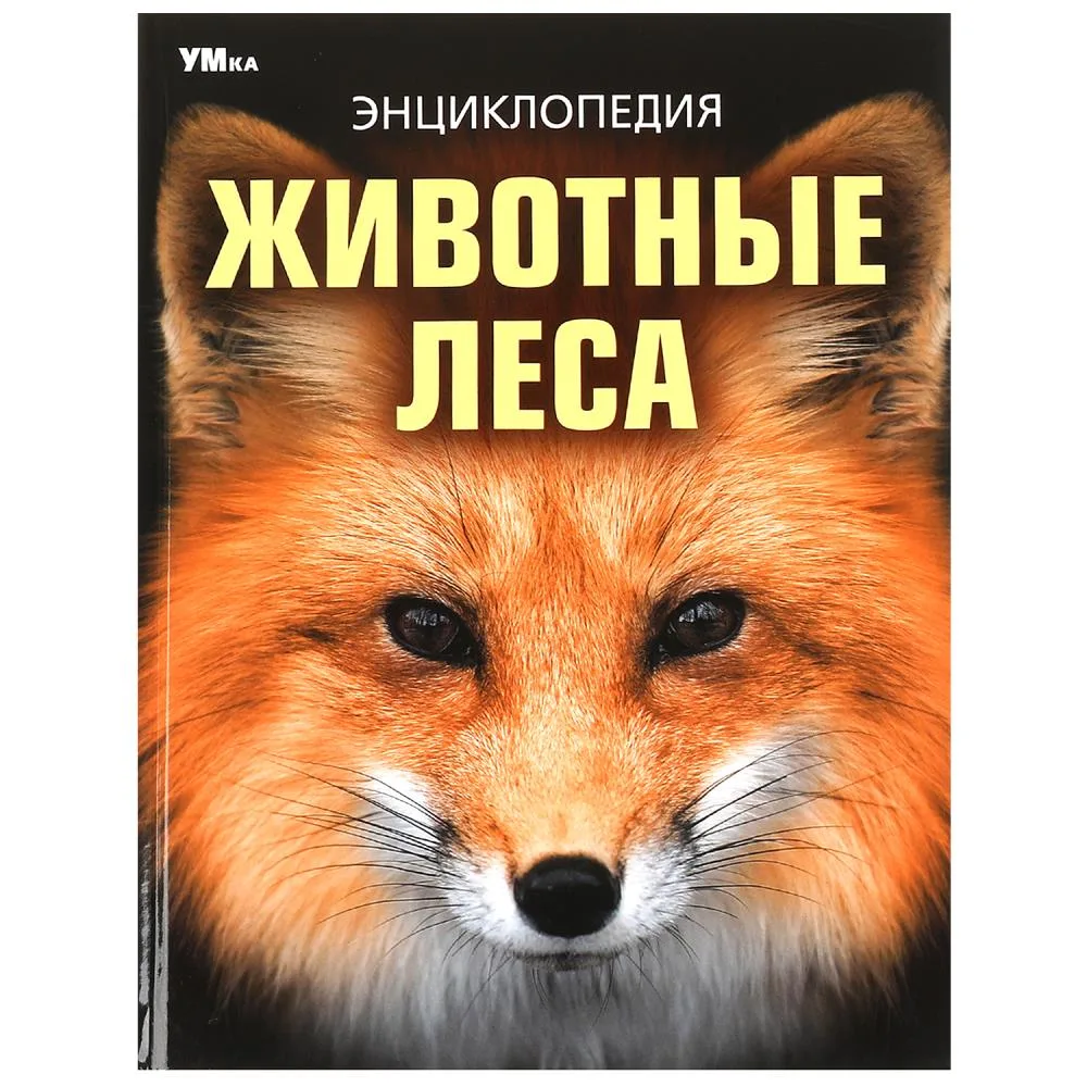 Энциклопедия «Животные леса», 48 стр., Умка