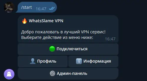 Превью проекта WhatsSlame VPN